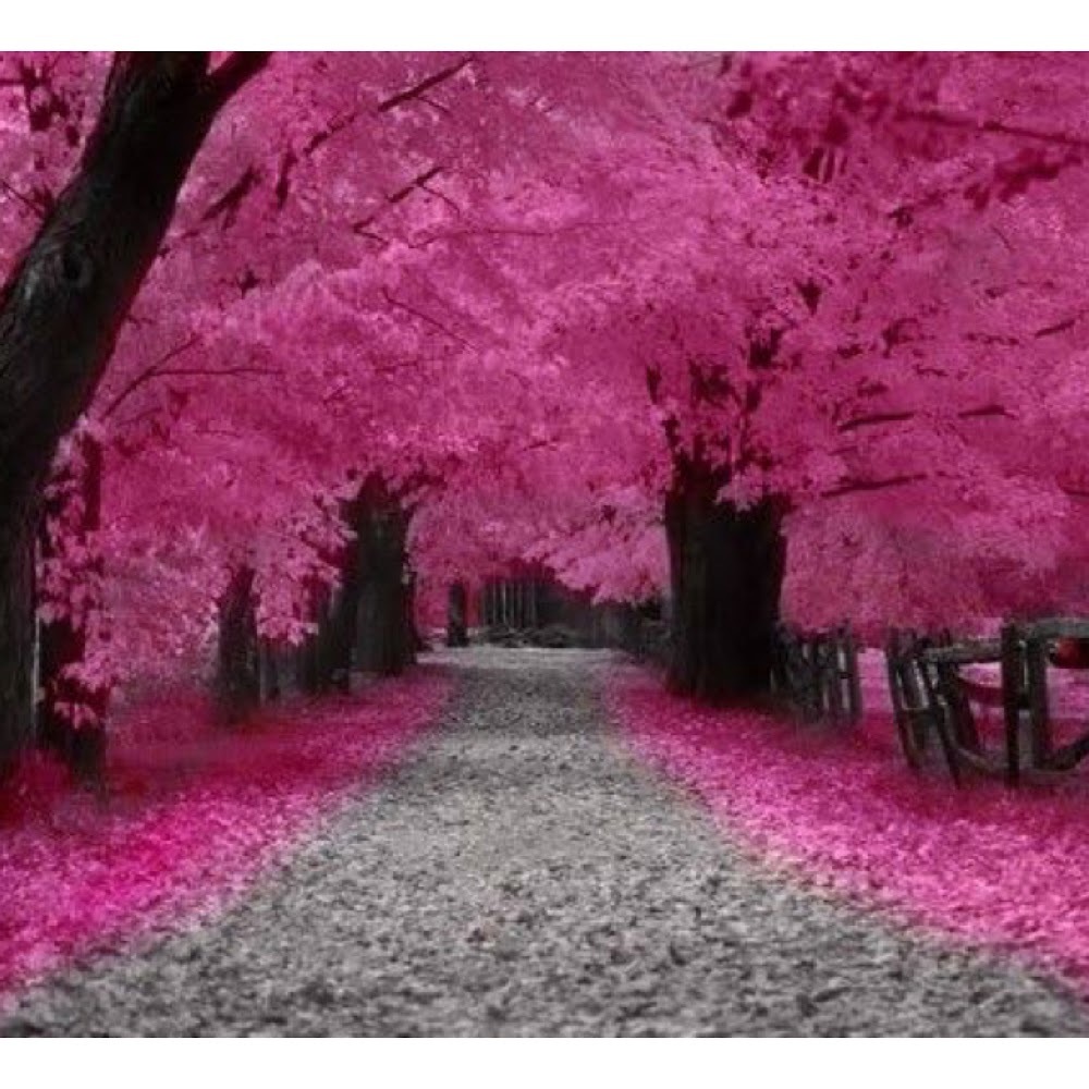 Meet your Posher, Agnita